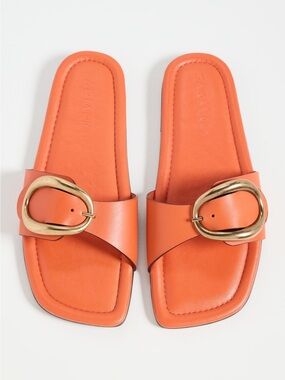 Farm Rio Citrus Orange Slide Sandals with Gold Buckle NIB sz 6 from Shopbop